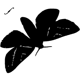 Moth silhouette