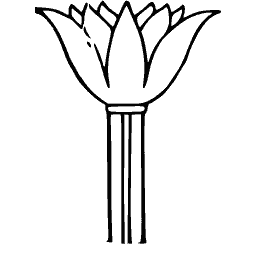 Lotus capital 02