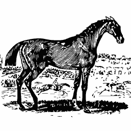 Horse 01