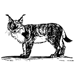 Lynx