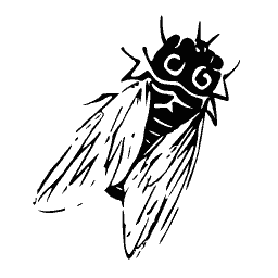 Cicada 02
