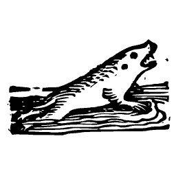 Fish leaping from water