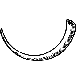 Curved horn