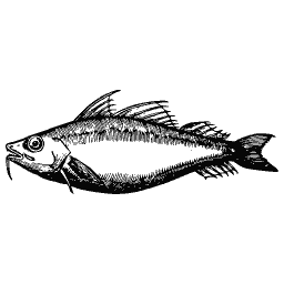 Scaled fish 16