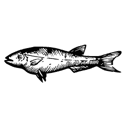 Slim fish 35