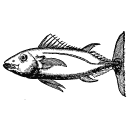 Tuna