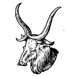 Long-horned ox head