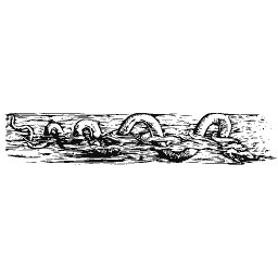 Worm chain