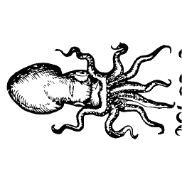 Octopus 03