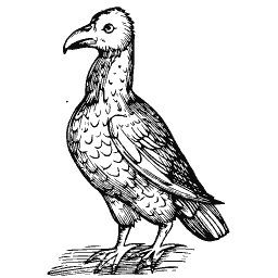 Standing bird 13