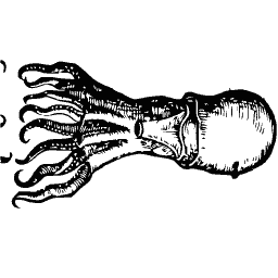 Octopus 04