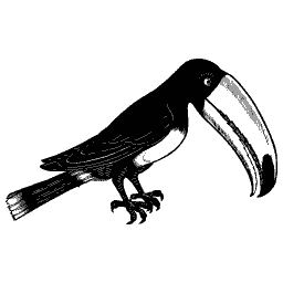 Toucan 02