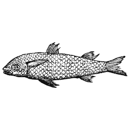 Scaled fish 20