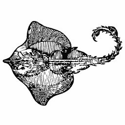Ray 04