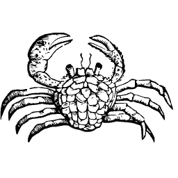 Crab 15
