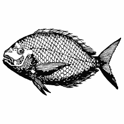 Scaled fish 28