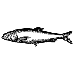 Slim fish 44