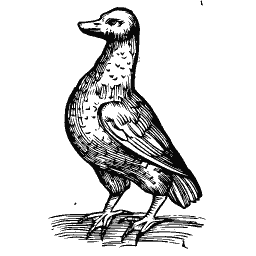 Standing bird 16