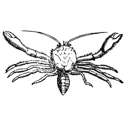 Long-clawed crustacean