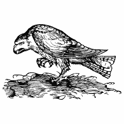 Eagle and prey 02