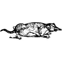 Mole 03