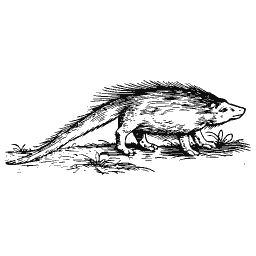Long-tailed mammal 02