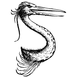 Pelican 03