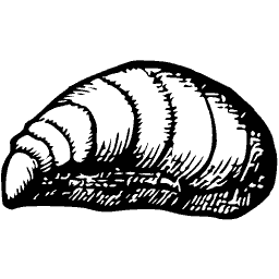 Coiled shell 14