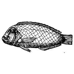 Scaled fish 33