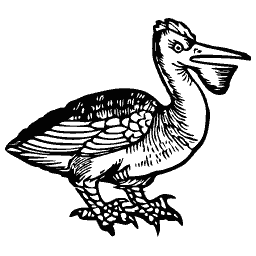 Pelican 04
