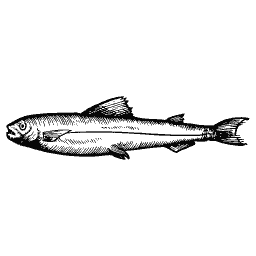 Slim fish 52