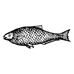Scaled fish 35