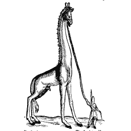 Giraffe 02
