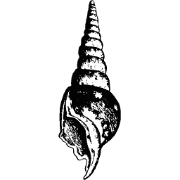 Spire shell