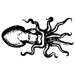 Octopus 01