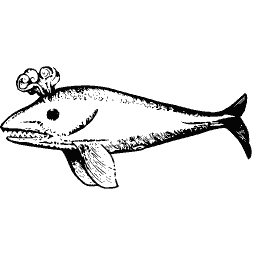 Whale 02