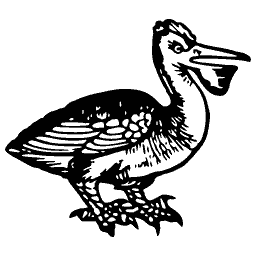 Pelican 01