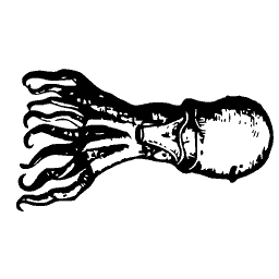 Octopus 02