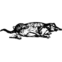 Mole 01