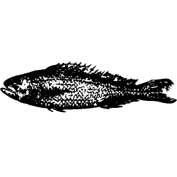 Rough-scaled fish