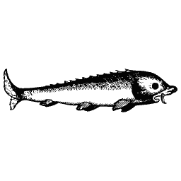Sturgeon 01