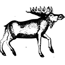 Elk