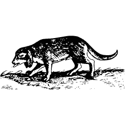 Long-tailed mammal 01