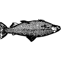 Upright fish 01