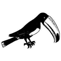 Toucan 01