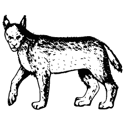 Lynx