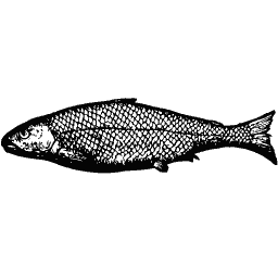 Upright fish 02