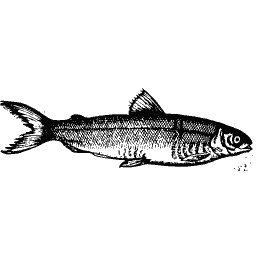 Upright fish 03