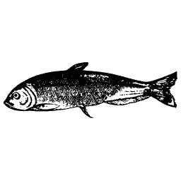 Slim fish 10