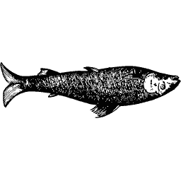Upright fish 04
